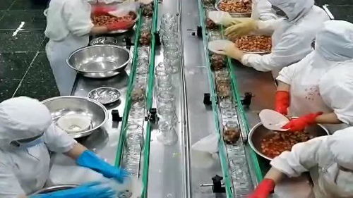 罐頭水果 健康與否，解碼食品廠的“魔法”加工過程