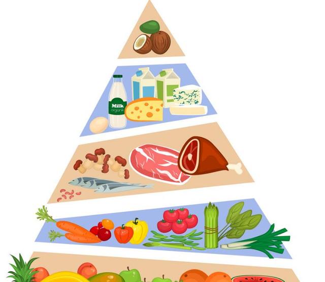 《乳制品與均衡飲食》 開啟健康生活的營養密碼